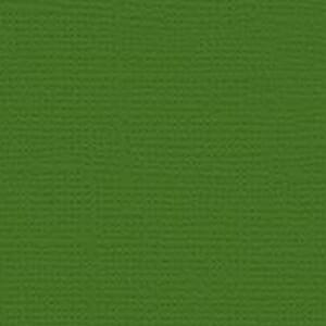 My Colors: Parrot - Classic Cardstock
