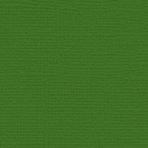 My Colors: Pine Forest - Classic Cardstock