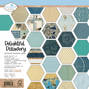 Elizabeth Craft - Delightful Discovery 12x12 Inch Patterned