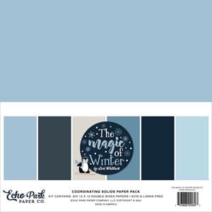 Echo Park: The Magic Of Winter Coordinating Solid Paper Pack