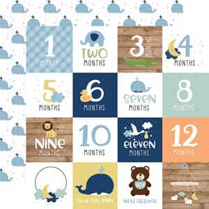 Echo Park: Milestone Cards - Baby Boy