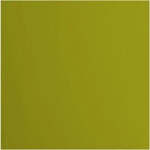 Kartong - Fern, Smooth, 12x12 inch