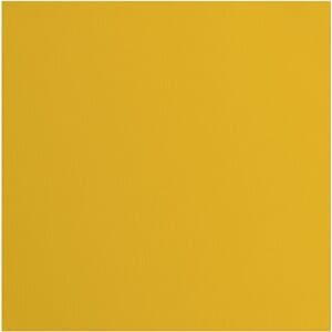 Kartong -  Bee, Texture, 12x12 inch