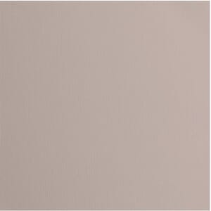 Kartong -  Rhino, Texture, 12x12 inch