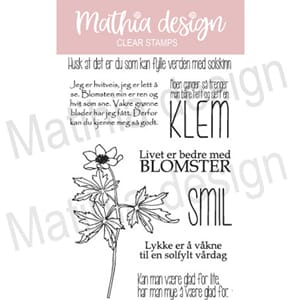 Mathia design - Hvitveis, str 10,2x15,3 cm