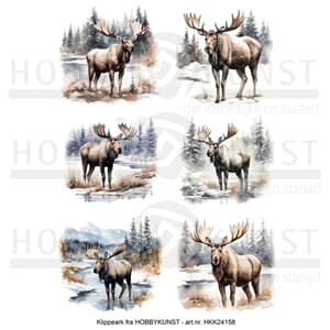 Klippeark - Skogens konge