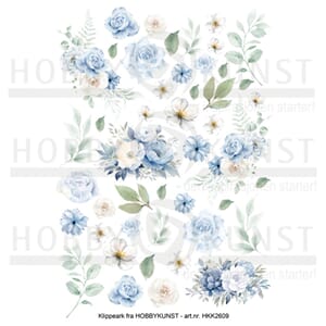 Klippeark - Blå blomsterglede