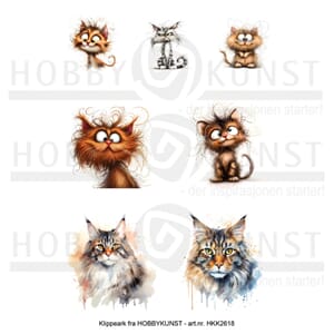 Klippeark - Kirstens favoritter