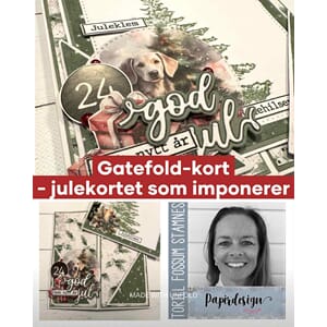 8/11 kl 11 - Gatefold brettekort m/ Screppa