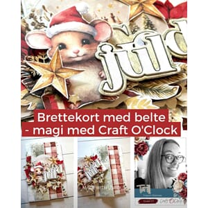 8/11 kl 17 - Brettekort med belte m/ Screppa