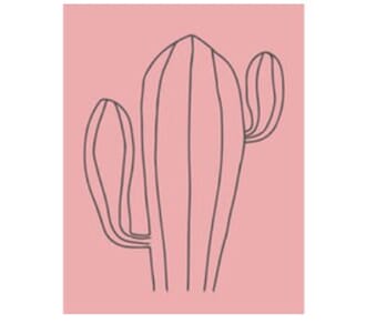 May & Berry Collection - Cactus Rose, str 35x45 mm