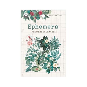 P13 - Naturalist Ephemera Flowers and Leaves