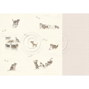 Pion Design: Leaving pawprints - Our Furry Friends