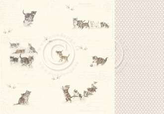 Pion Design: Leaving pawprints - Our Furry Friends