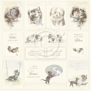 Pion Design: Our Furry Friends - Images from the Past
