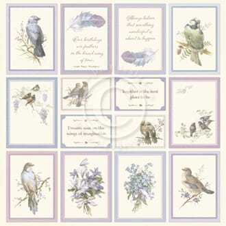 Pion: New Beginnings II - Images from the Past