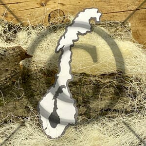 Papirdesign: Norge Dies