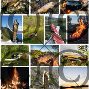 Papirdesign - Fiskemotiv motivark, A4