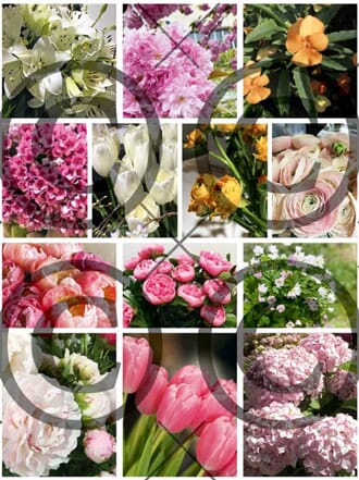 Papirdesign - Blomsterklipp motivark, A4