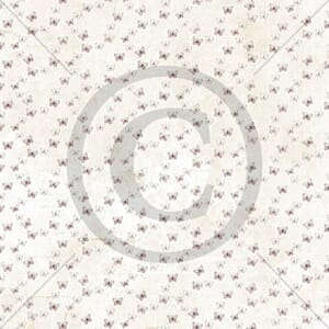 Papirdesign: Skjør og vakker - Verdifull