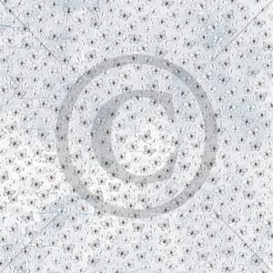 Papirdesign: Samhold - Verdifull