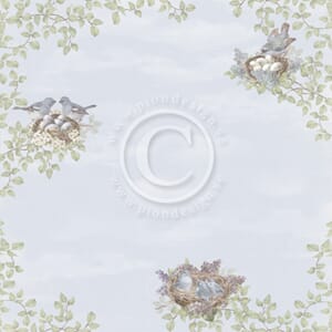 Pion: Nesting birds - New Beginnings