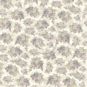 Pion: Lilacs - New Beginnings
