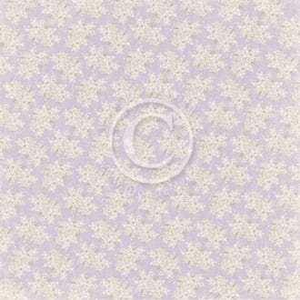 Pion: Graceful blooms - New Beginnings