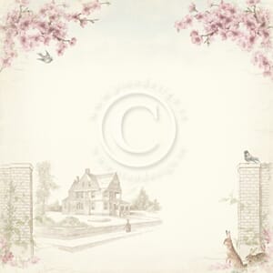 Pion: Cherry Blossom Lane - Cherry Blossom Lane