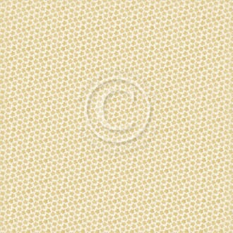 Pion: As the leaves turn - Summer Falls into Autumn