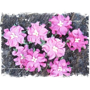 Papirdesign: Små gardenia, rosa, 8/Pkg