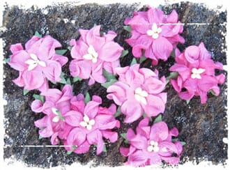 Papirdesign: Små gardenia, rosa, 8/Pkg