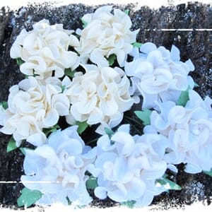 Papirdesign: Rufse roser, hvite og beige, 8/Pkg