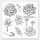 Picket Fence Studios: Succulent Blossoms Clear sta, 6x6 inch