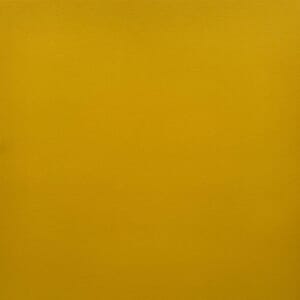 Paper Favourites - Golden Smooth Cardstock, 240 gram