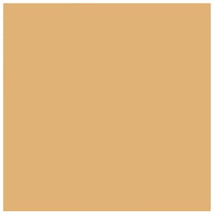 Paper Favourites - Brown Smooth Cardstock, 220 gram