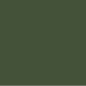 Paper Favourites - Forest Green Smooth Cardstock, 220 gram