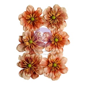 Prima - Caramel Delight Paper Flowers 6/Pkg