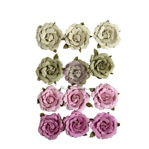 Prima - Serene Petals Flowers Budding Serenity