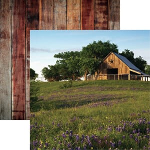 Reminisce: #1  - Barnwood Beauty