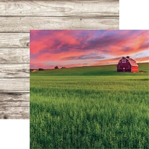 Reminisce: #6  - Barnwood Beauty