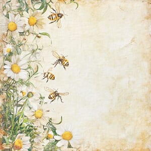 Reprint: Bee's - Summer