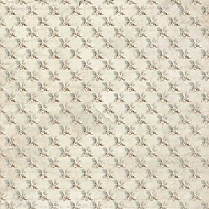 Reprint: Acorn - Cozy Season
