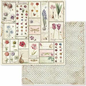 Stamperia:Spring Botanic Herbarium