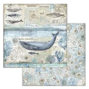 Stamperia: Arctic Shells - Arctic