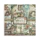 Stamperia - Herbarium Silvae 8x8 Inch Paper Pack