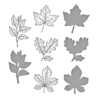 Spellbinders - Autumn Leaves Press Plate & Die Set