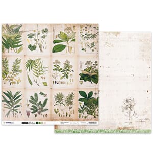 Studio Light: Romantic Botanic 03 Paper