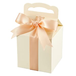 Spellbinders - Ribbon Box Etched Dies