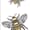 Sizzix - Bee Thinlits Die by Lisa Jones